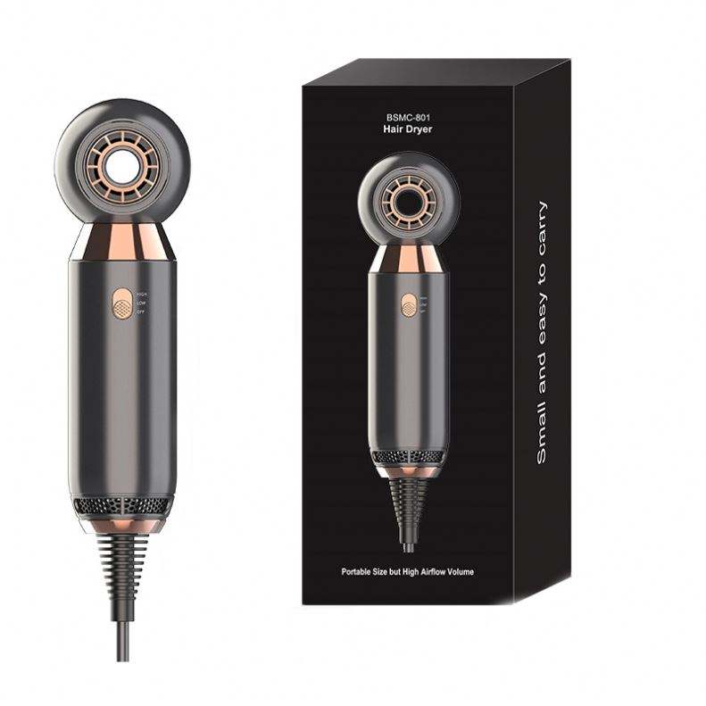 Portable, leafless hair dryer