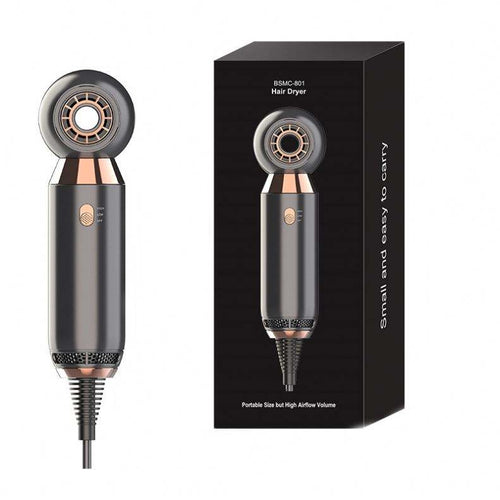 Portable, leafless hair dryer