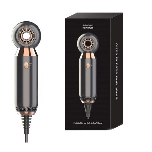 Portable, leafless hair dryer