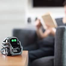 Robot Vector Original Anki